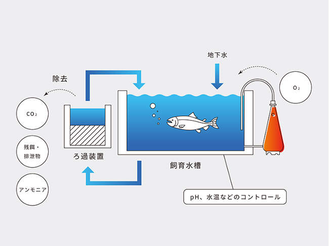 富士・桂川ファクトリーに導入する循環式陸上養殖システム