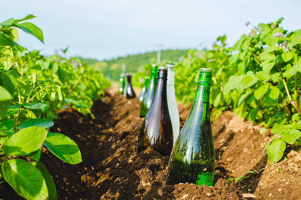 KURANDの信念「酒造りは農業から」