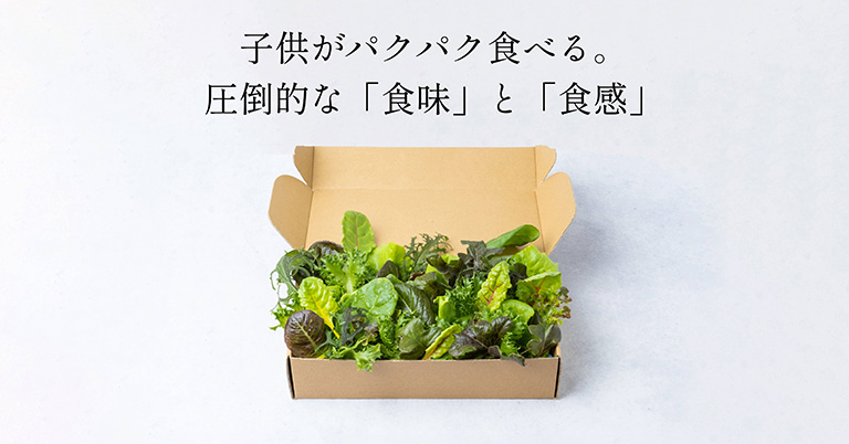 【販売商品】5種の常備野菜セット