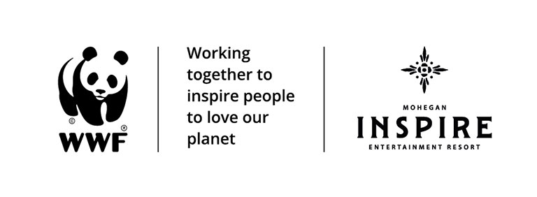 WWF-Koreaと環境保全キャンペーンコラボレーションロゴ