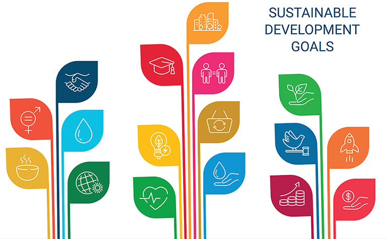 SDGsに関する調査（2024年）