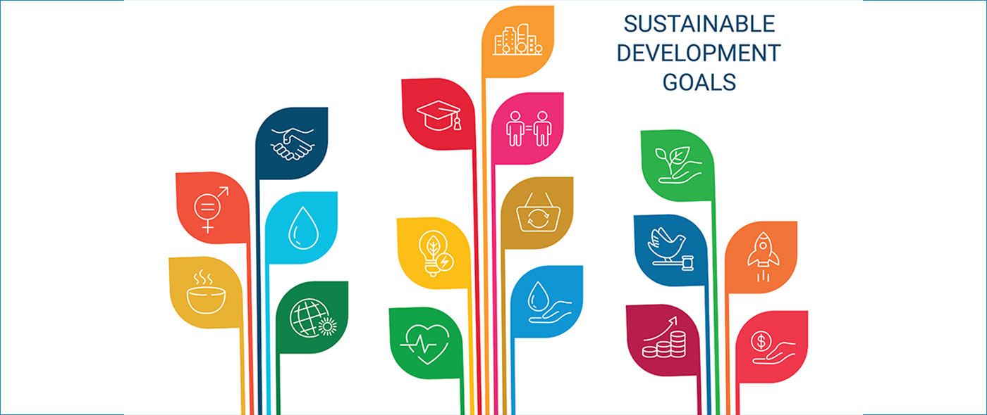 SDGsに関する調査（2024年）