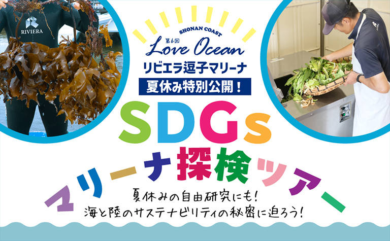 SDGsマリーナ探検ツアー