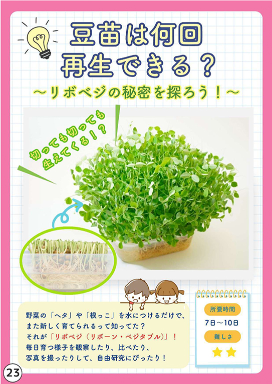 リボベジ野菜を育ててみよう