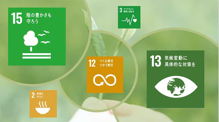 SDGs SDGs