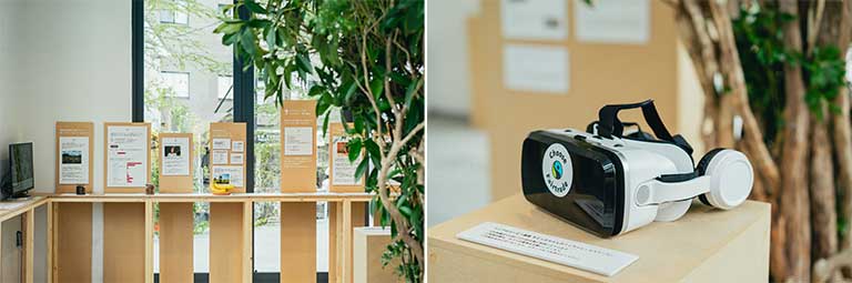 動画やデータを活用し、現地の実態を紹介・比較