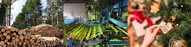 森林保護のために間伐された木材を使用