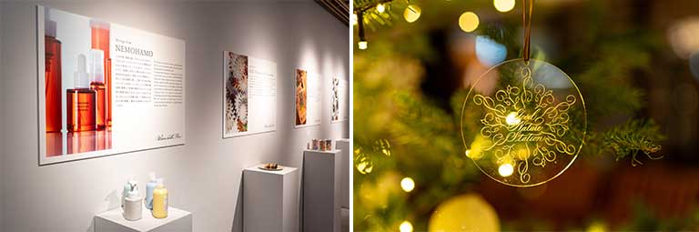 パネル展示と装飾