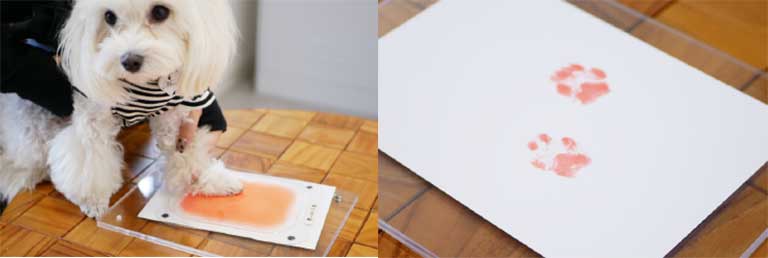 ワンちゃんの足あと入りオーダーメイドTシャツ