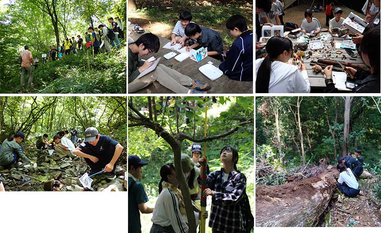 高尾の森自然観察会の様子