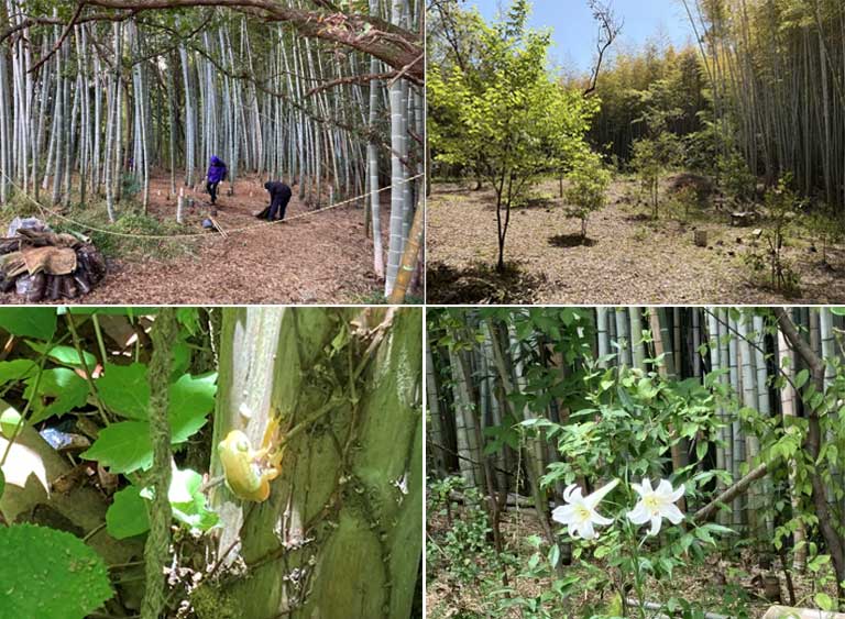 アストラゼネカの対象区域