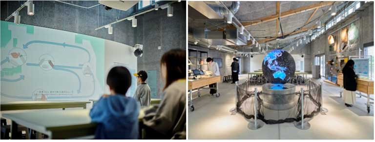 展示コンテンツ