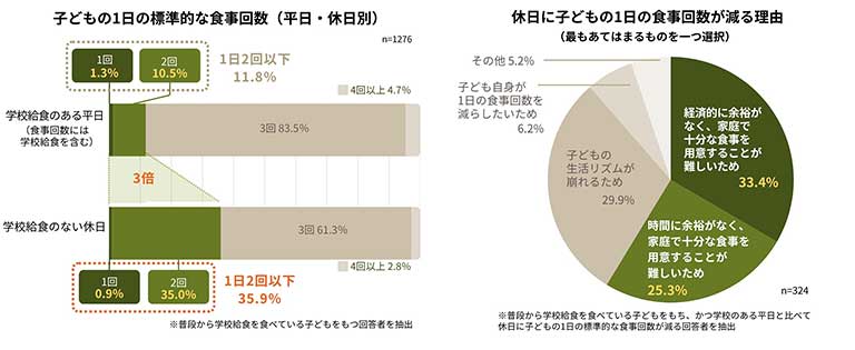 子どもの1日の標準的な食事回数 / 休日に子どもの1日の食事回数が減る理由