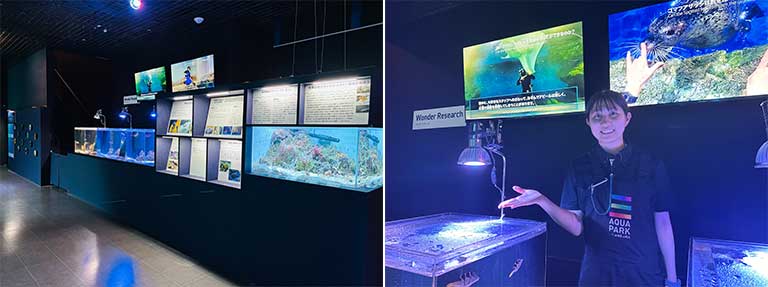 展示エリア「Wonder Research（ワンダーリサーチ）」