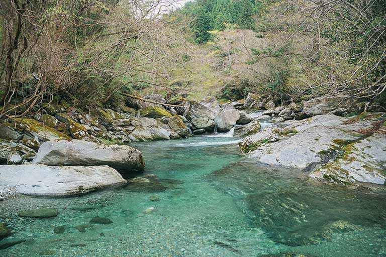 中野川指定管理釣場